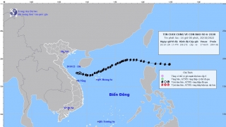 Tin cuối cùng về cơn bão số 6 - Nesat