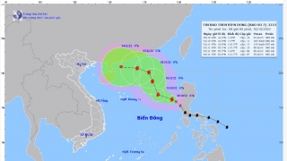 Thanh Hóa ban hành công điện ứng phó với bão số 7 - bão NALGAE