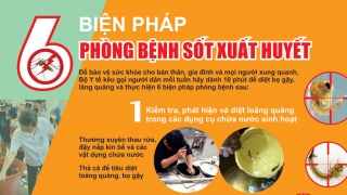 Infographic: 6 biện pháp phòng bệnh sốt xuất huyết