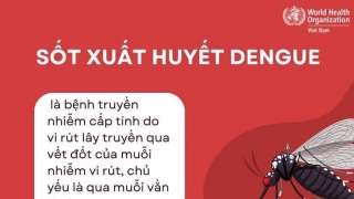 Cách phòng chống dịch sốt xuất huyết tốt nhất