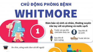 Infographic: 7 biện pháp phòng chống bệnh Whitmore