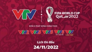 Lịch thi đấu World Cup 2022 hôm nay ngày 24/11