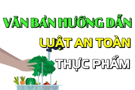 Tổng hợp 25 văn bản quy phạm pháp luật lĩnh vực an toàn thực phẩm