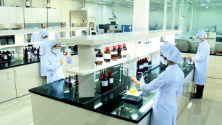 Thu hồi Giấy chứng nhận đủ điều kiện kinh doanh dược của Công ty Cổ phần Phyto Quang Trung