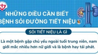 Những điều cần biết về bệnh sỏi đường tiết niệu