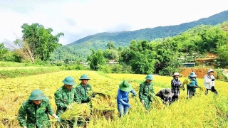 Bộ đội Biên phòng Thanh Hóa tổ chức nhiều hoạt động thiết thực vì cộng đồng