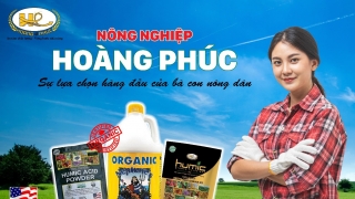 Công ty TNHH Đầu tư Nông nghiệp Hoàng Phúc - Vì một nền  nông nghiệp bền vững cho Nhà nông