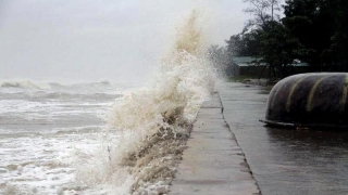 Chủ động ứng phó với diễn biến áp thấp nhiệt đới gần biển Đông