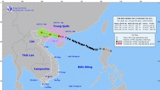 Bão số 1 sắp đổ bộ vào đất liền, gió mạnh cấp 7, giật cấp 10, mưa rất to