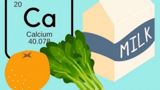 Canxi, Vitamin D3, Vitamin K2 – các dưỡng chất quan trọng của hệ xương khớp
