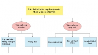 Chuyên gia lý giải sơ cứu tai biến mạch máu não bằng Y học cổ truyền