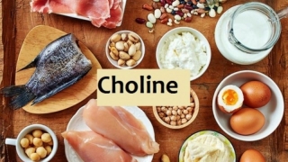 Vai trò và nguồn thực phẩm bổ sung choline cho cơ thể