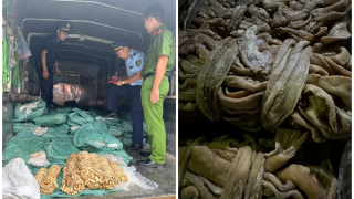 Cao Bằng phát hiện xe ô tô vận chuyển 1.400 kg lòng bò đông lạnh không rõ nguồn gốc, xuất xứ