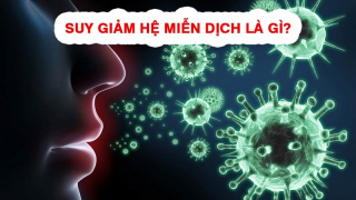 Suy giảm miễn dịch: Nguyên nhân và phòng ngừa hiệu quả