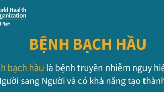 Các triệu chứng, đường lây truyền và các biện pháp phòng chống bệnh bạch hầu