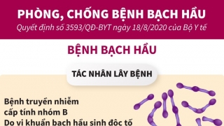 Infographic: Khuyến cáo phòng, chống bệnh Bạch hầu của Bộ Y tế