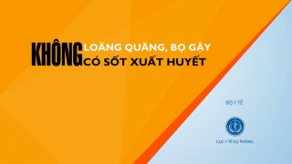 Hãy chủ động phòng tránh và nhận biết bệnh sốt xuất huyết