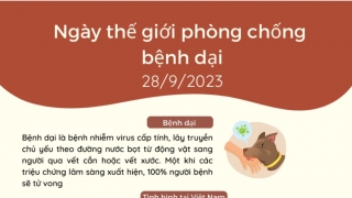 Ngày thế giới phòng chống bệnh dại 2023: Tất cả vì một, một sức khỏe cho tất cả