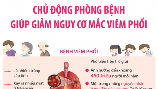 Infographics: Ngày Thế giới phòng chống Viêm phổi 12/11/2023 - Chủ động phòng bệnh giúp giảm nguy cơ mắc bệnh