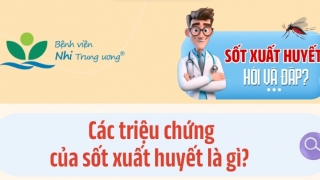 Những lưu ý quan trọng cha mẹ cần biết về sốt xuất huyết