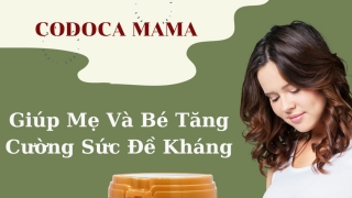 Vai trò của vitamin và khoáng chất đối với phụ nữ trước và trong khi mang thai