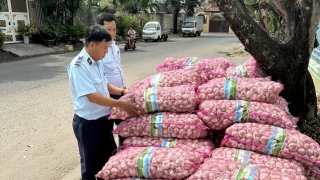 Kiên Giang liên tiếp phát hiện, tạm giữ 2,6 tấn củ tỏi xuất xứ Trung Quốc, không có nhãn phụ bằng tiếng Việt