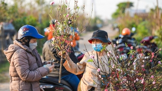 Nhận định xu thế thời tiết Tết Nguyên đán Giáp Thìn năm 2024