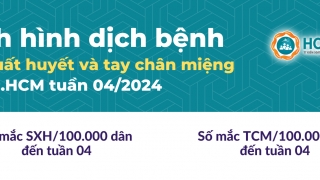 TP. Hồ Chí Minh: Ghi nhận hơn 1.000 ca sốt xuất huyết trong tháng 1