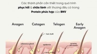 HMPF không chỉ là một phương pháp điều trị mà còn là một biện pháp phòng ngừa để duy trì sức khỏe của tóc