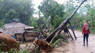 Khẩn trương ứng phó mưa lớn kèm dông lốc, sét, mưa đá và gió giật mạnh