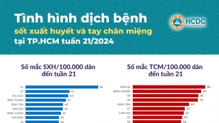 TP. Hồ Chí Minh: Ghi nhận 581 trường hợp mắc bệnh tay chân miệng trong tuần 21