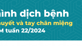 TP. Hồ Chí Minh: Ghi nhận 564 trường hợp mắc bệnh tay chân miệng, giảm 17 ca so với tuần trước