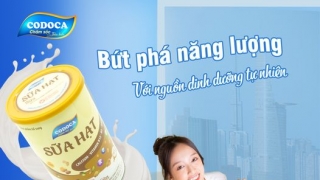 Sữa hạt Codoca – Năng lượng từ tinh chất hạt, dưỡng dáng khỏe mạnh