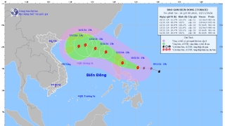 Cập nhật tình hình cơn bão số 7 (bão Yinxing) vào 13h chiều nay 10/11