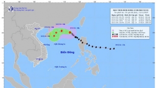 Tin mới nhất về cơn bão số 8