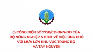 Chủ động ứng phó với mưa lớn khu vực Trung Bộ và Tây Nguyên