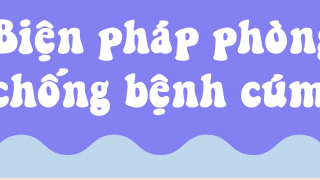 Infographic: 5 biện pháp phòng, chống bệnh cúm mùa