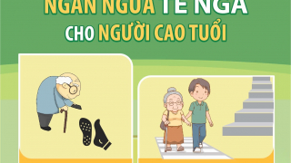 Infographic: Ngăn ngừa té ngã cho người cao tuổi