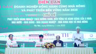 Phát triển nông nghiệp xanh là giải pháp thiết thực để bảo vệ sức khỏe cộng đồng