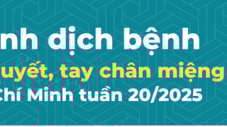 TP. Hồ Chí Minh: Cập nhật tình hình dịch bệnh trong tuần 20