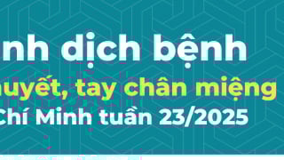 TP. Hồ Chí Minh: Ghi nhận 320 trường hợp mắc bệnh sốt xuất huyết trong tuần 23