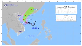 Cập nhật tình hình cơn bão số 1 - Wutip
