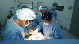 Khi sự ra đi gieo mầm cho những cuộc đời mới