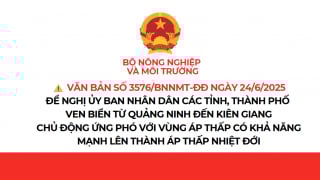 Chủ động ứng phó với vùng áp thấp có khả năng mạnh lên thành áp thấp nhiệt đới