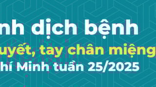 TP. Hồ Chí Minh: Ghi nhận 507 trường hợp mắc bệnh sốt xuất huyết trong tuần 25