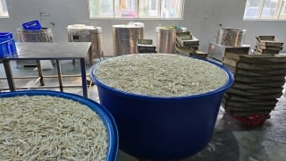 Thanh Hóa: Phát hiện và tạm giữ hơn 13 tấn chân gà ngâm hóa chất
