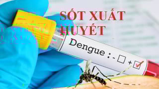 Thủ tướng yêu cầu tăng cường phòng, chống bệnh sốt xuất huyết