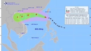 Thủ tướng yêu cầu tập trung ứng phó cơn bão số 3