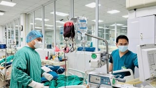 Người níu lại sự sống mong manh: Bác sĩ Nguyễn Hồng Kỳ và câu chuyện chưa kể