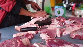 Ăn phải thịt lợn nhiễm bệnh tả Châu Phi có nguy hiểm đến sức khoẻ?